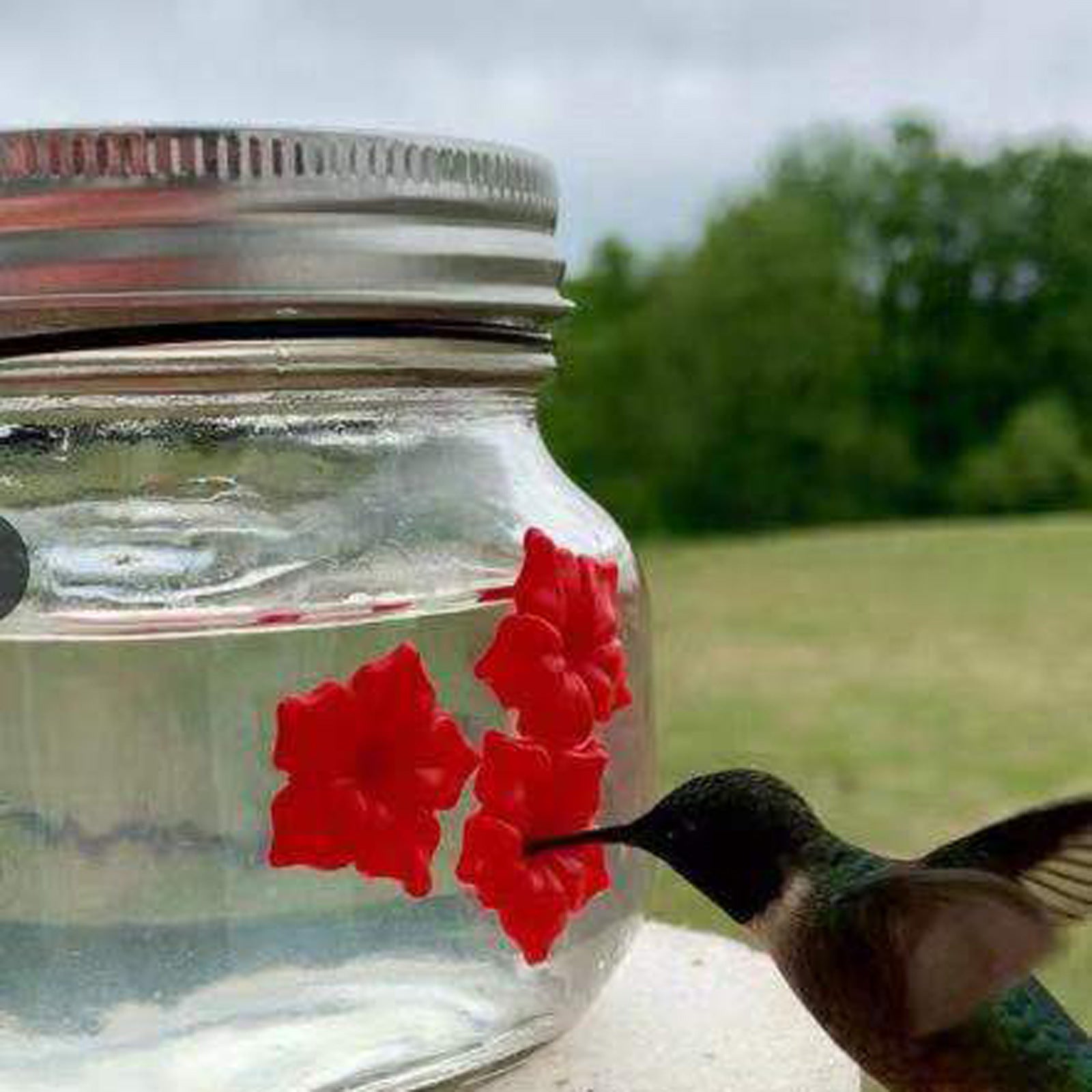 Hummingbird Feeder Plastic Flower Bird Feeder Bird Water Feeder Bottle Hanging Garden Outdoor Pet Supplies