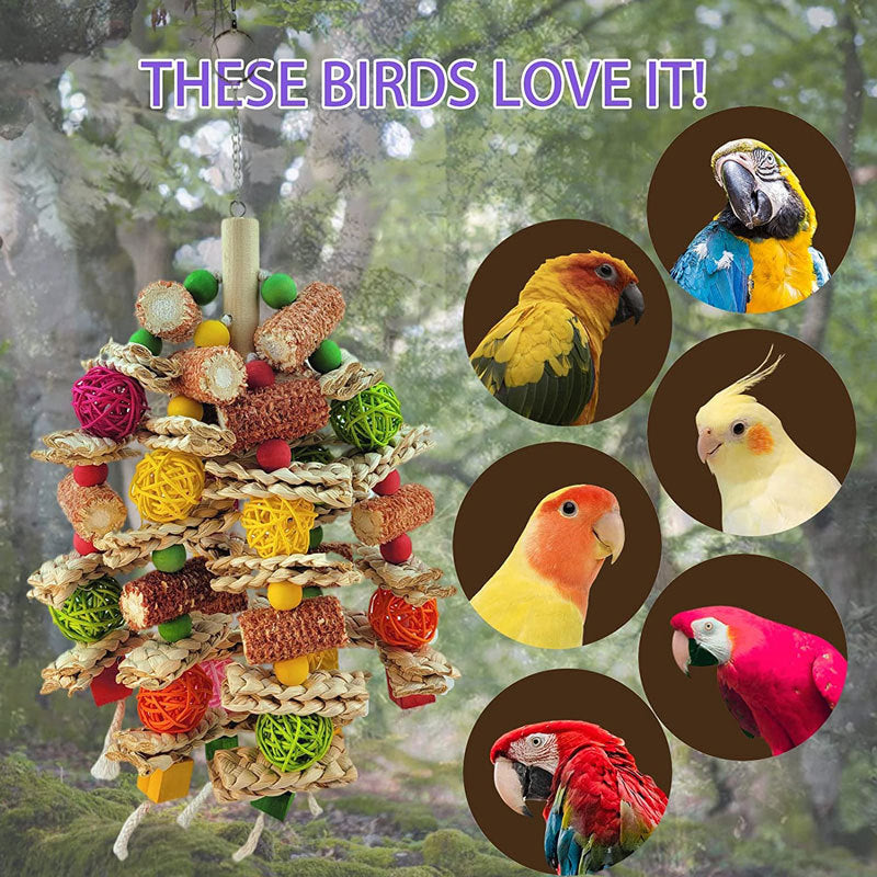 Household Fashion Parrot Bite Toy