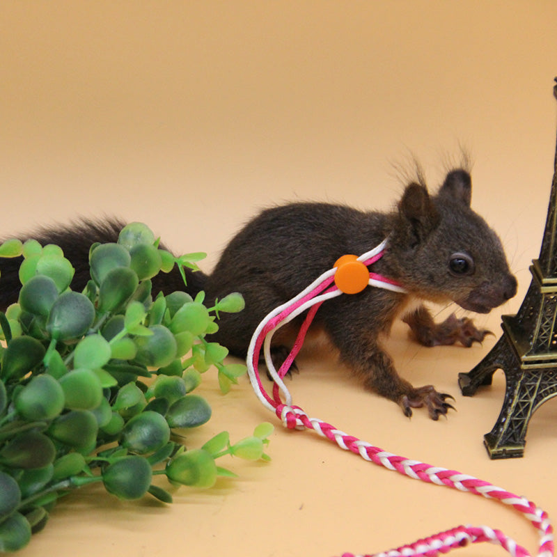 Hamster Hand Woven Pull Rope - Adjustable Harness & Leash