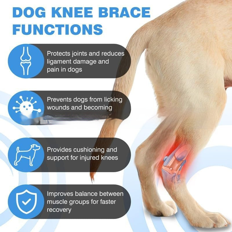 Pet Dog Leg Guard Joint Knee Pad ACL Ligament Tear Auxiliary Rehabilitation Cat Joint Dislocation Protection